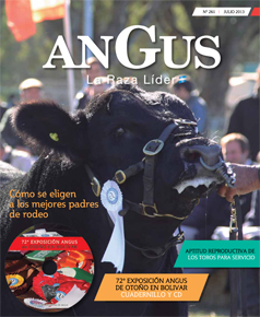 Revista 261 - Mayo 2013