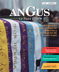 Revista 263 - Diciembre 2013