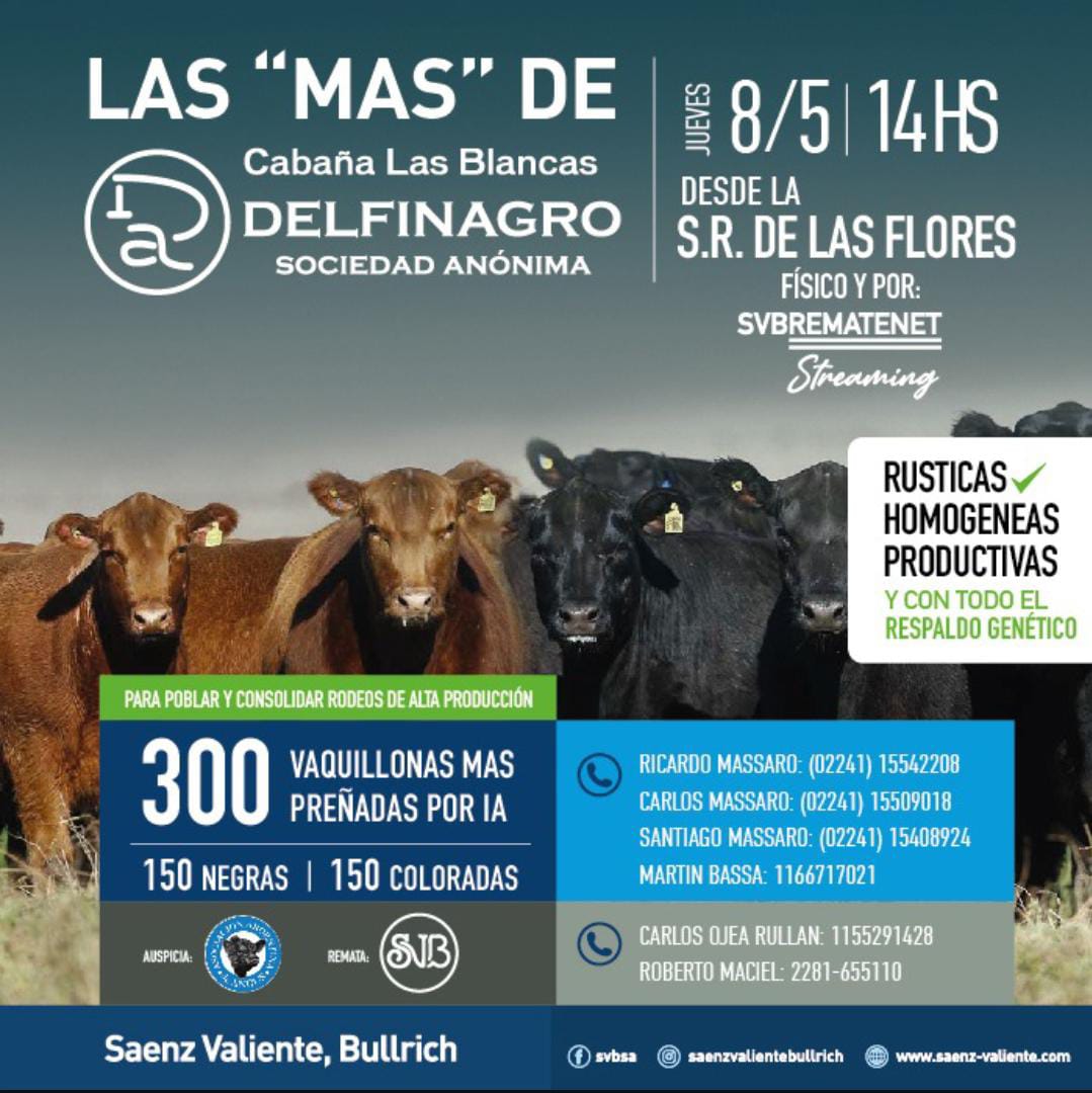 Imagen de Las MaS de Delfinagro