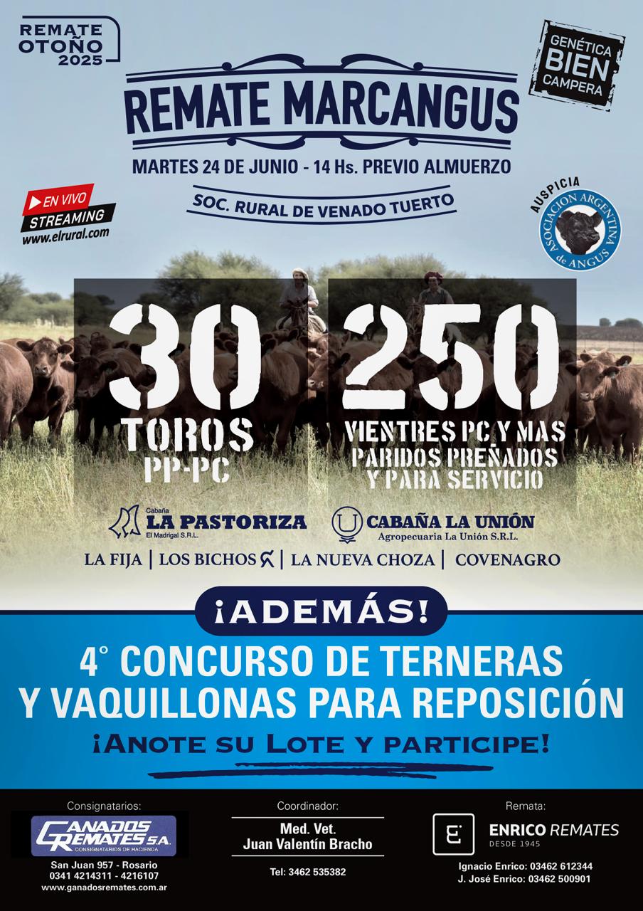 Imagen de Marcangus