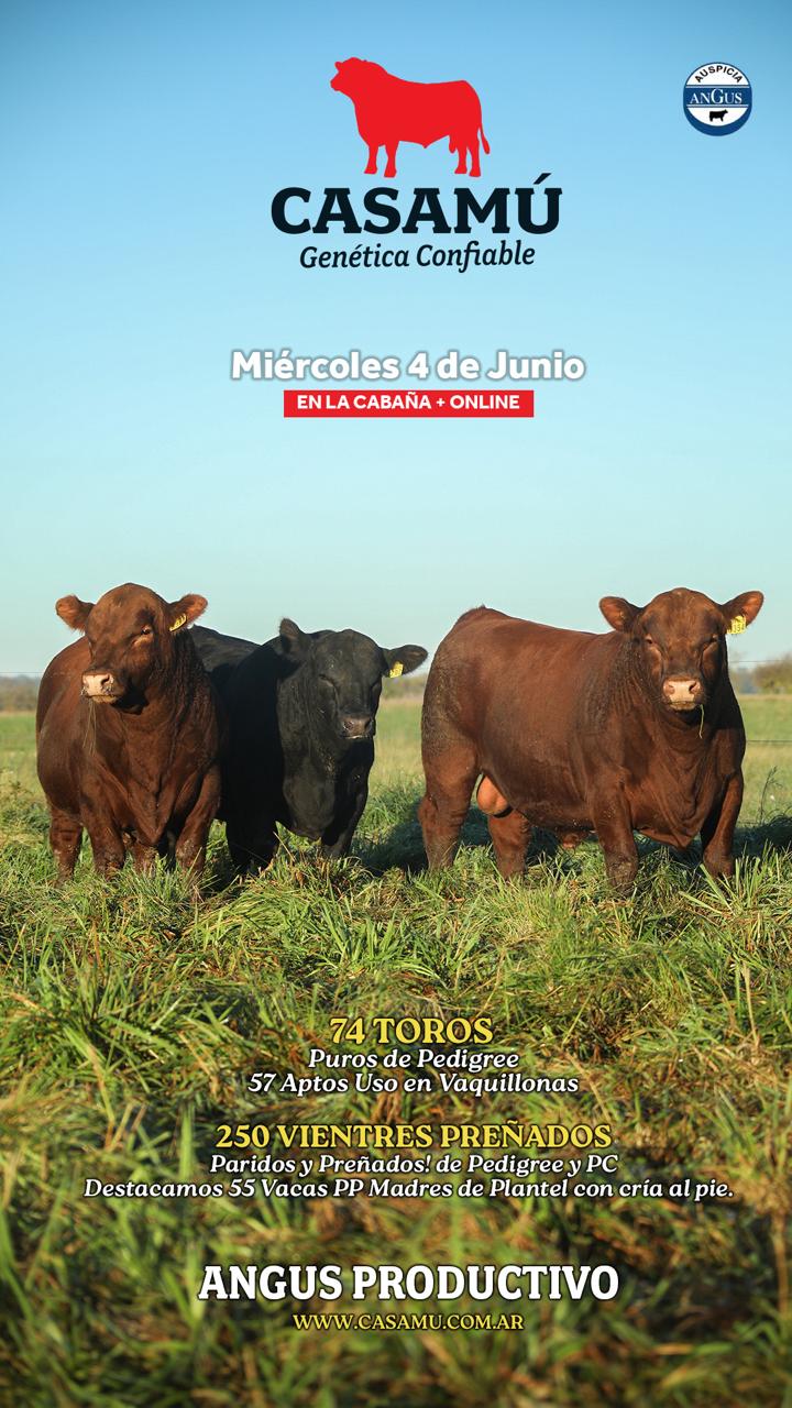Imagen de Casamu