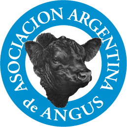 AnGus en La Pampa